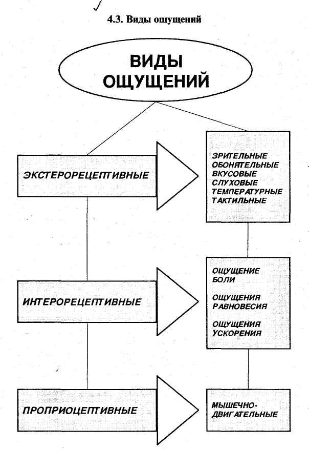 Общая психология схемы