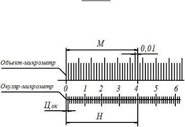 Объект деления. Объект-микрометр для микроскопа с ценой деления. Окулярметрометр и объектмикрометр. Окуляр микрометр и объект микрометр. Объект-микрометр окуляр-микрометра в микроскопе.