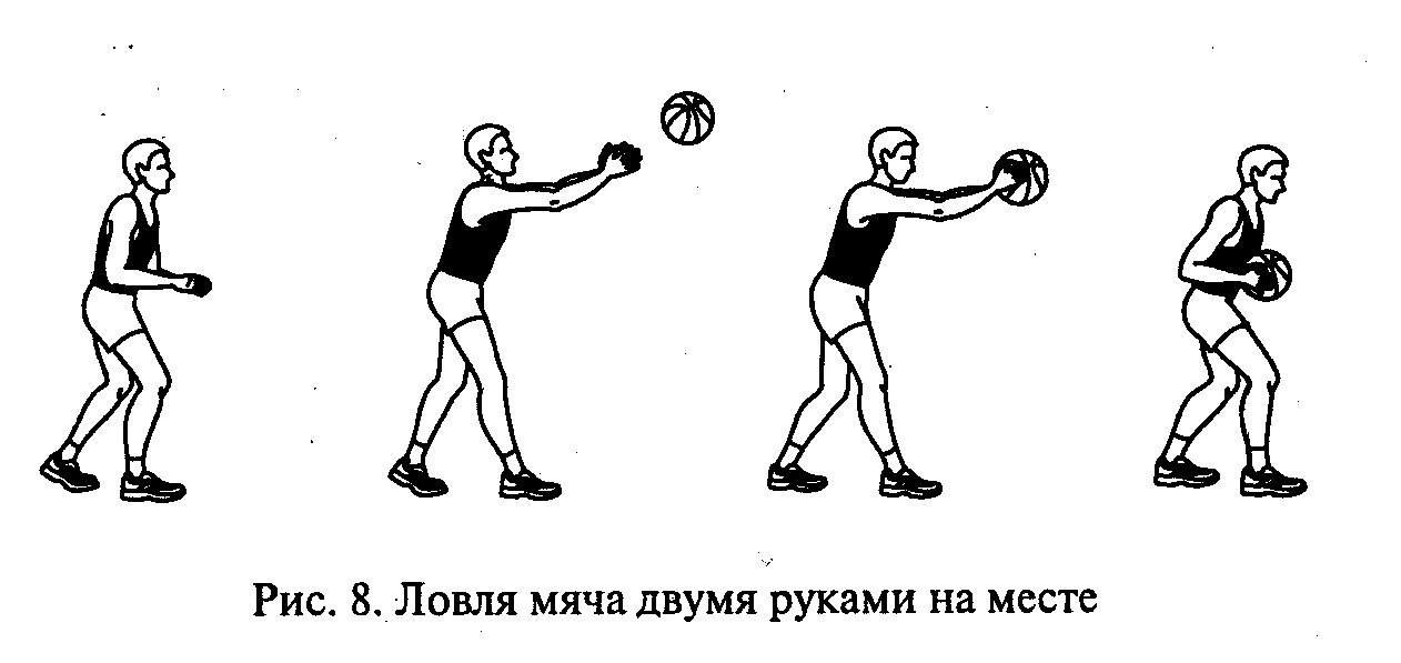 Ловля и передача мяча одной рукой. Ловля мяча двумя руками в баскетболе техника. Ловля мяча 2 руками в баскетболе. Баскетбол техника ловли мяча 2 руками. Ловля и передача мяча в баскетболе картинки.