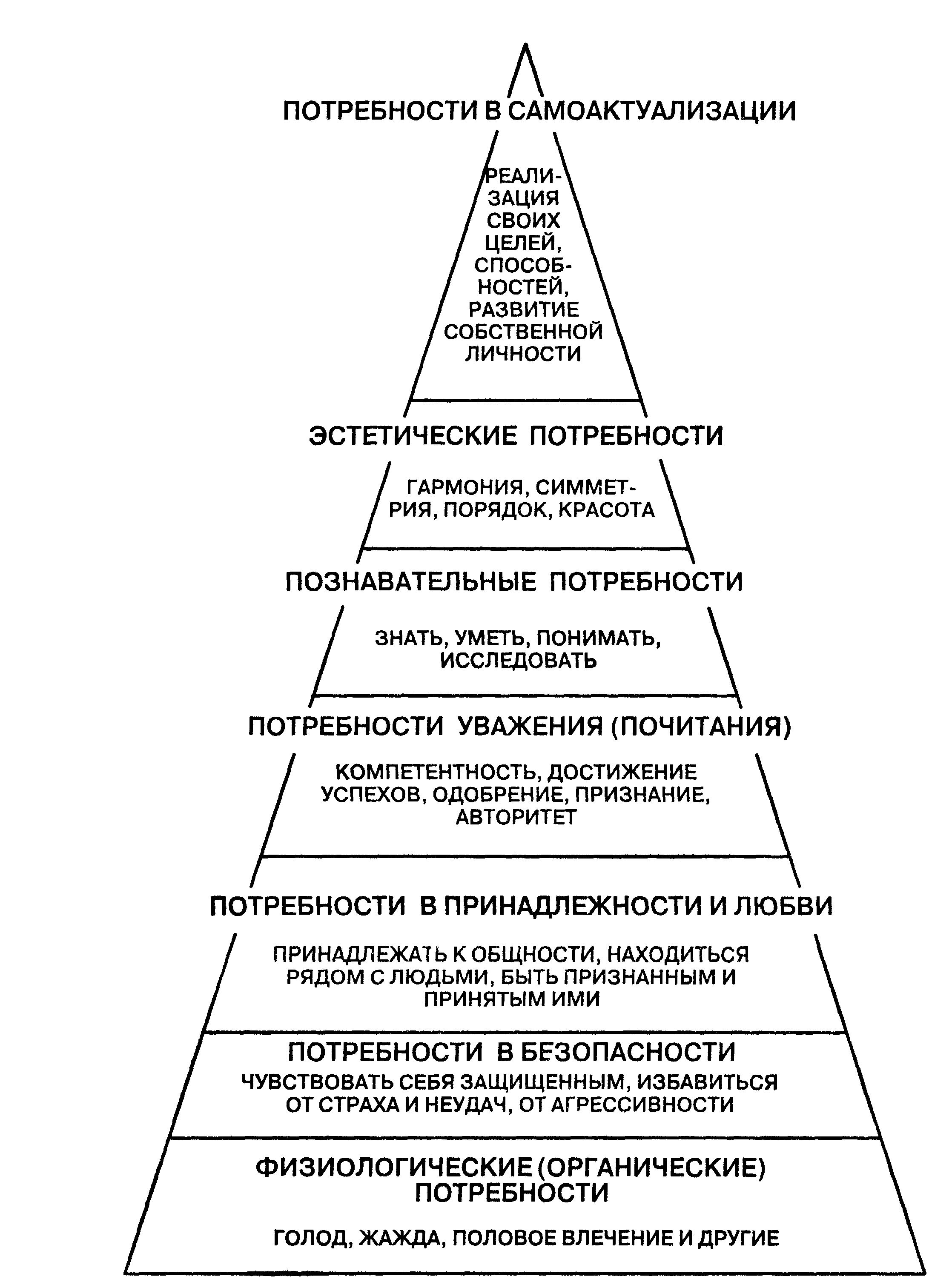 Пирамида маслоу самоактуализация