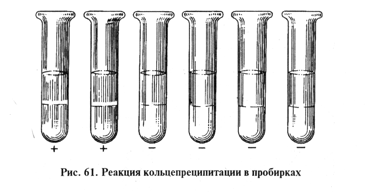 В двух пробирках