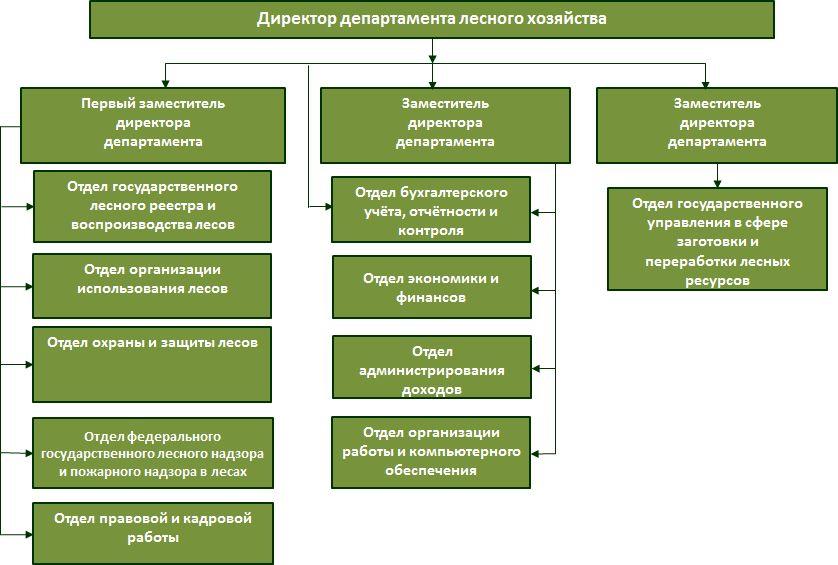Министерство природных ресурсов и экологии структура