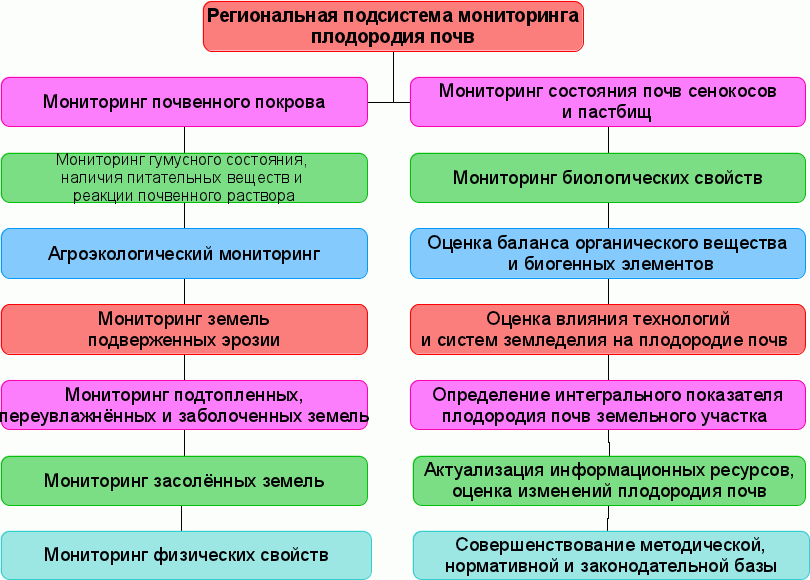 Информационные технологии