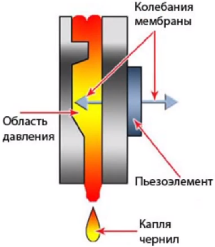 Принтер формирующий изображение с помощью жидких красителей называется