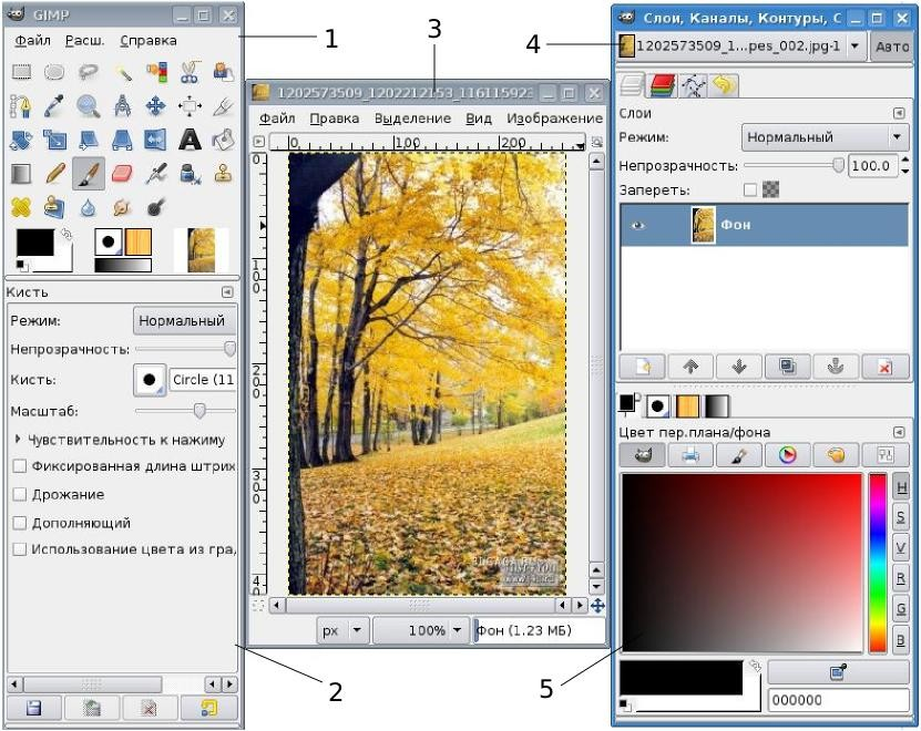 Растровый цифровой редактор. Графический редактор гимп стандартные окна. Окно изображения gimp. Гимп Интерфейс. Окно графического редактора gimp.
