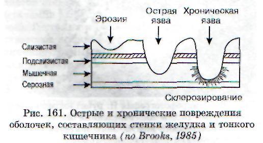 ГЛАВА НАРУШЕНИЯ ИОННОГО ОБМЕНА