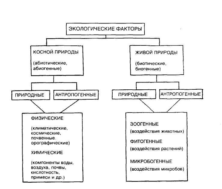 Факторы физической природы. Биогенные и абиогенные факторы. Биотические экологические факторы классификация. Классификация антропогенных экологических факторов. Схема классификации экологических факторов.