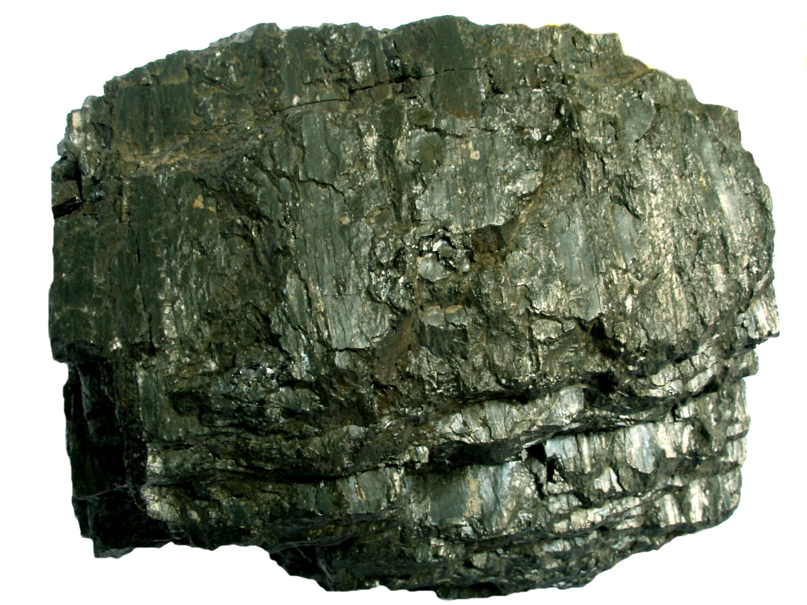 Для каменного угля характерно. Каустобиолиты горные породы. Каменный уголь. Излом каменного угля. Структура каменного угля.