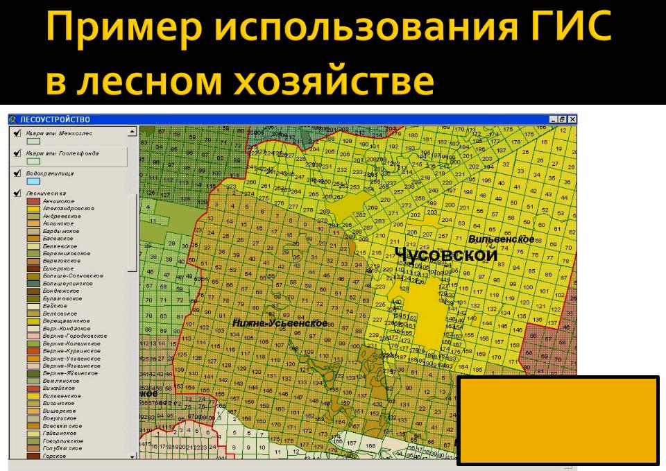 Гис образование республика крым. ГИС В Лесном хозяйстве. Геоинформационные технологии в Лесном хозяйстве. Применение ГИС В Лесном хозяйстве. Географическая информационная система в Лесном хозяйстве.