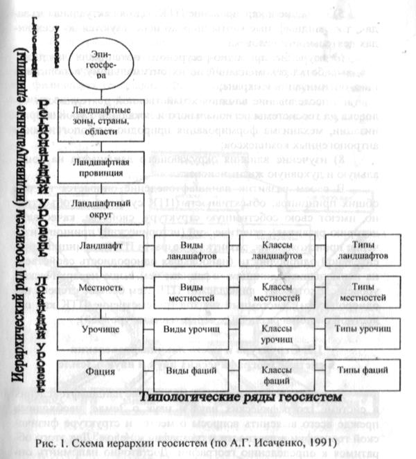 Виды ландшафтов схема. Типы ландшафтов по Исаченко. Иерархия ландшафтов. Иерархия геосистем. Схема иерархии геосистем.