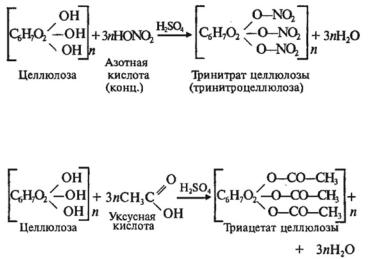 Запишите схему получения динитрата целлюлозы тринитрата целлюлозы укажите тип реакции