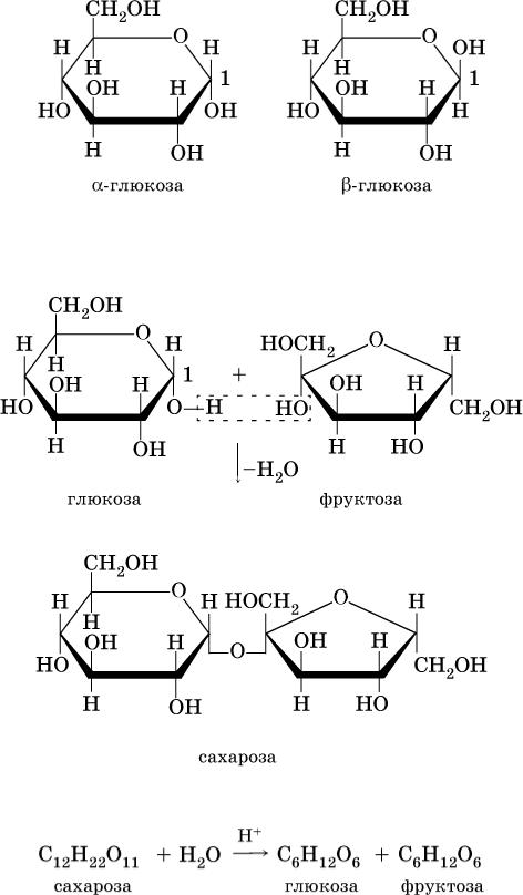 Глюкоза и фруктоза образуются при гидролизе. Схема реакции сахарозы. Образование фруктозы реакция. Строение Глюкозы и фруктозы. Получение фруктозы реакции.