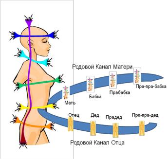 Линия рода. Родовые каналы человека. Родовой канал в эзотерике. Родовые каналы человека схема. Родовые каналы отношение.