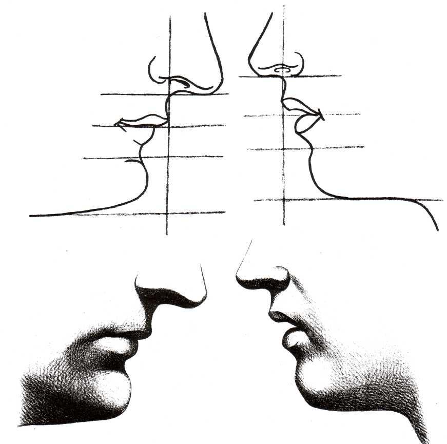 Нос в профиль рисунок