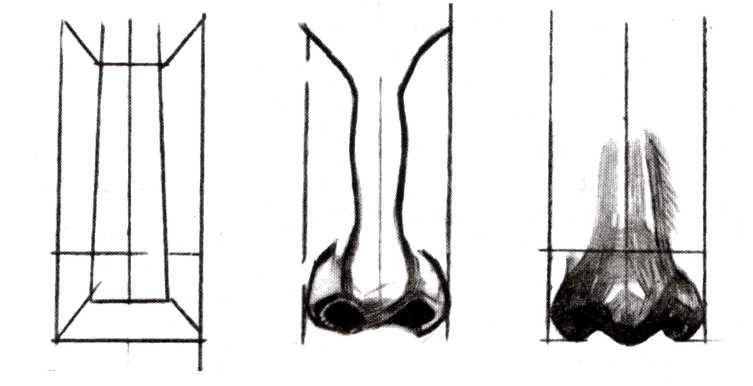 Как рисовать нос построение