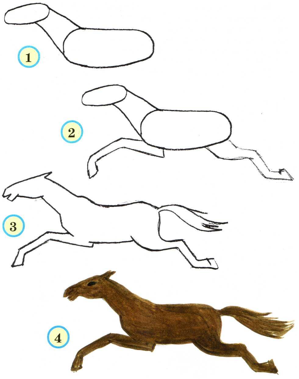 Рисуем лошадь поэтапно. Поэтапное рисование животных. Как нарисовать коня поэтапно. Поэтапный рисунок лошади. Поэтапное рисование лошади для детей.
