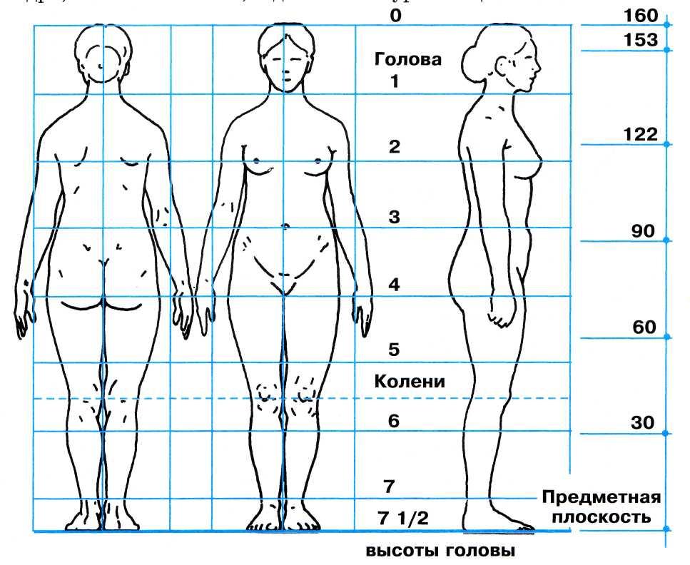 Карта женского тела