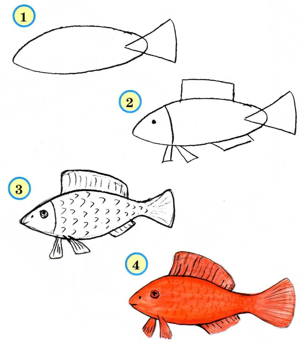 Была рыбка простая. Поэтапное рисование рыбки. Поэтопно рисование для детей. Поэтапное рисование рыбы для детей. Этапы рисования рыбки для детей.
