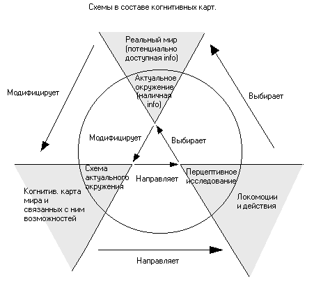 Когнитивные карты.