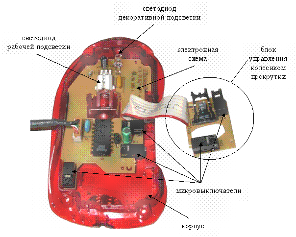 Внутренняя мышь. Оптическая мышка строение. Схема беспроводной оптической мышки. Конструкция оптической компьютерной мыши. Структура компьютерной мыши.