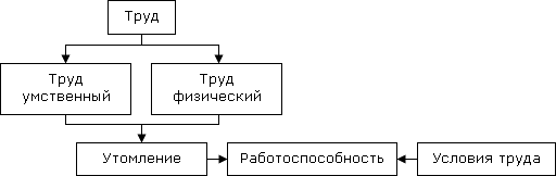 Труд схема. Трудовая деятельность схема. Умственный труд схема. Физический труд схема.