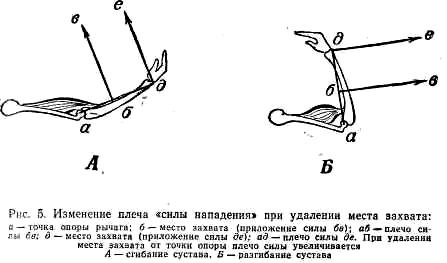 Механизм движения лепестков