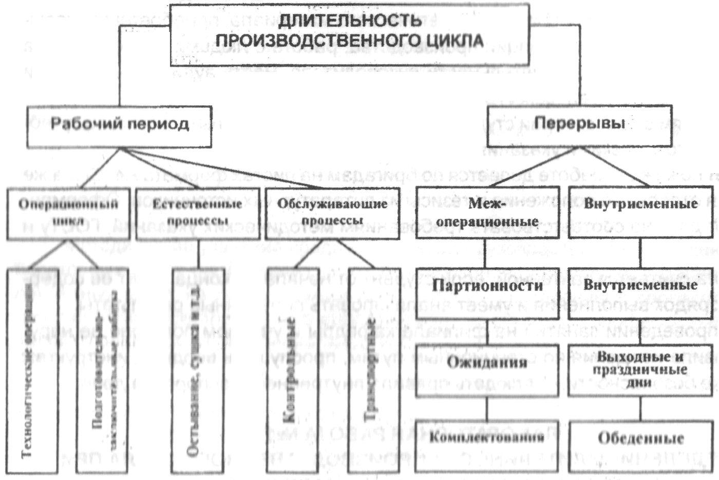 Лабораторная работа №1