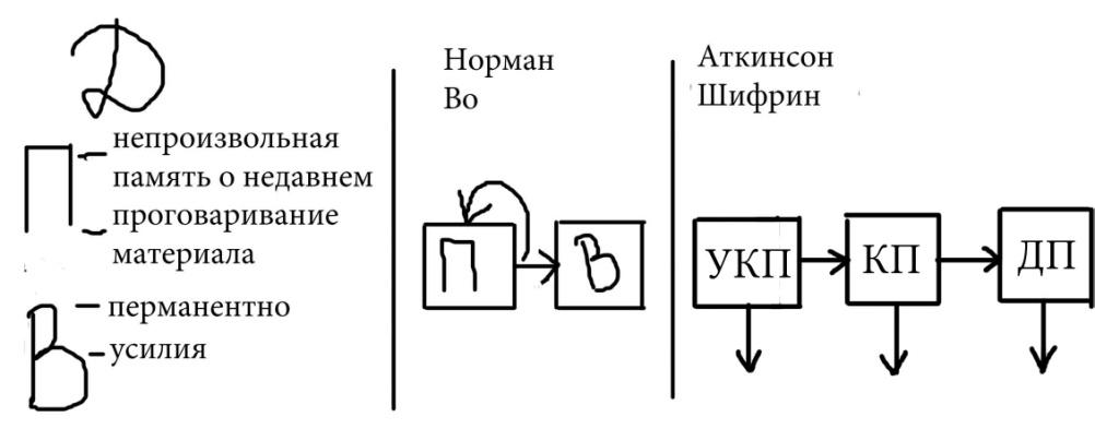 Схема памяти по р аткинсону и р шифрину