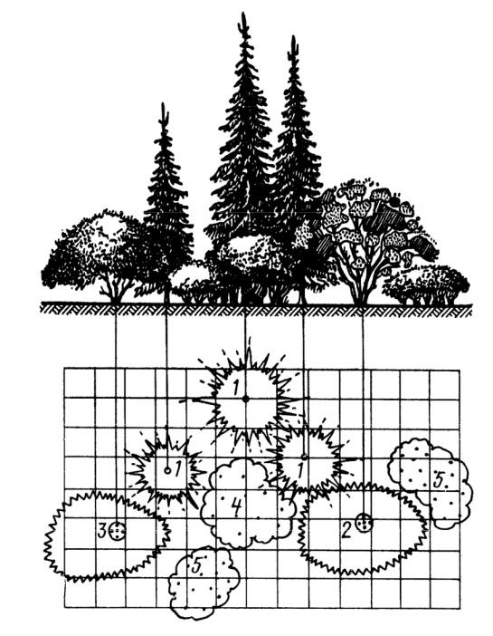 Три группы деревьев. Схема древесно кустарниковых насаждений. Схема посадки древесно кустарниковых растений. Древесно кустарниковая группа схема посадки. Древесно-кустарниковые композиции чертеж.