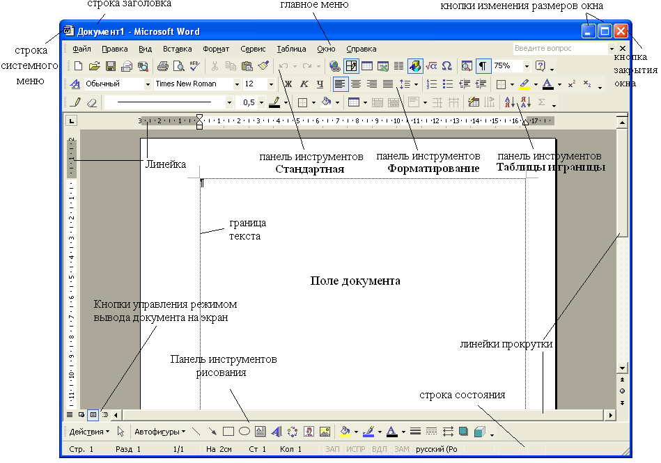 Окно процессора word. Структура рабочего окна MS Word.. Текстовый процессор МС ворд. Панель инструментов Главная MS Word. Текстовый процессор ворд 2003.