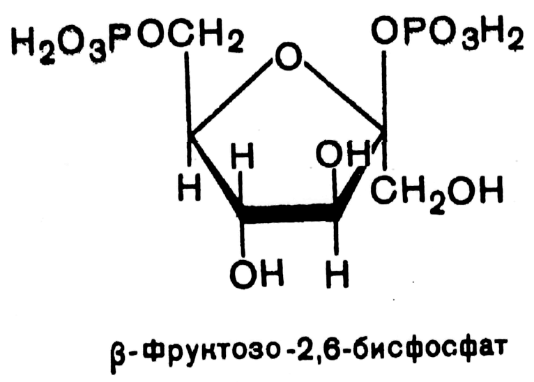 Фруктозо 6 дифосфат. Фруктозо 2 6 дифосфат. Фруктозо 16 бисфосфат. Фруктозо 1 6 бисфосфат формула. Фруктозо 16 бисфосфат в фруктозо 6.