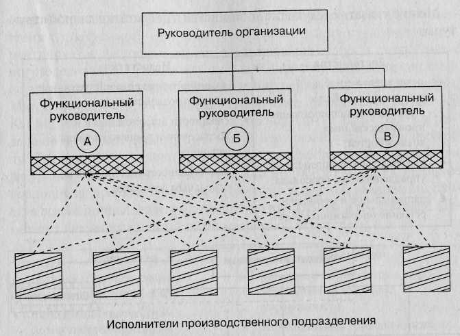 Функциональная структура региона. Функциональная структура хозяйства. Схема функциональной структуры отраслей. Линейная и функциональная структура управления отличия. Организационная линейно-функциональная структура: адидас.