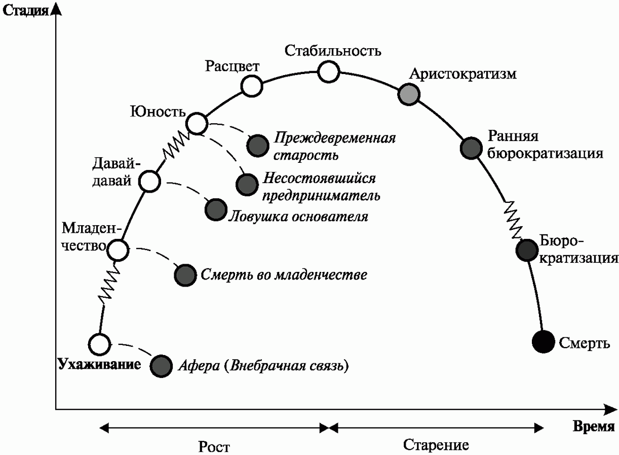 Организация ее жизненный цикл. Жизненный цикл предприятия модели Адизес. Модель жизненного цикла организации по Адизесу. Жизненный цикл Адизеса схема. Стадии жизненного цикла организации по Адизесу.