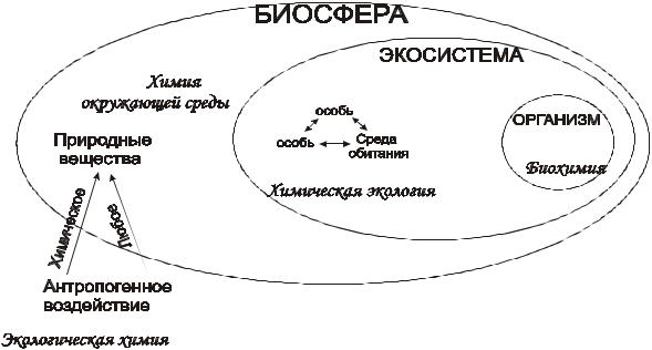 Схема природного равновесия 3 класс схема