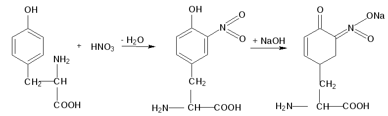 Белки с азотной кислотой. Тирозин + hno2. Фенилаланин плюс азотная кислота. Взаимодействие фенилаланина с азотной кислотой. Ксантопротеиновая реакция реакция.
