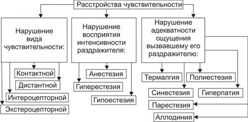 Схема нарушения чувствительности