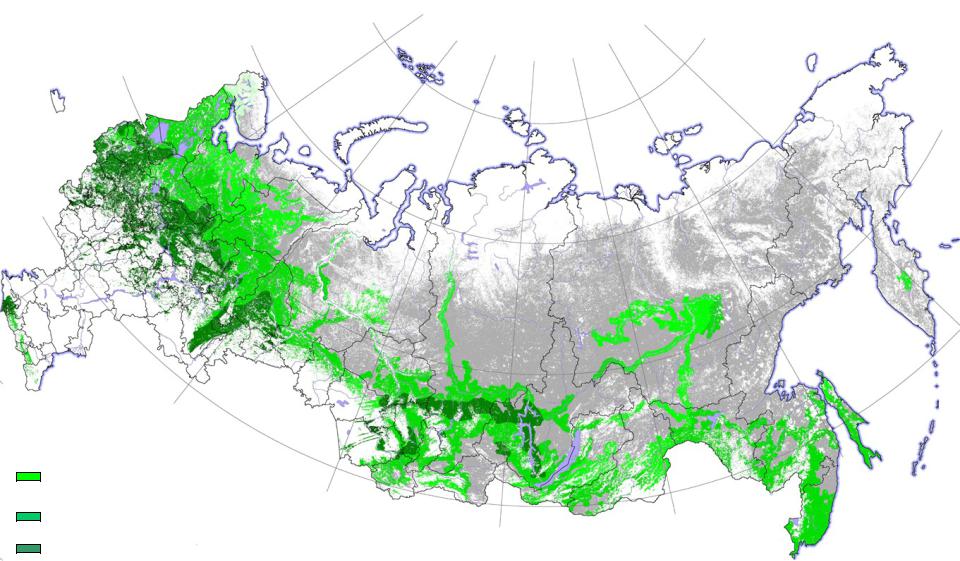 Подробная карта лесов россии