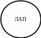 Овал 85