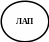 Овал 133