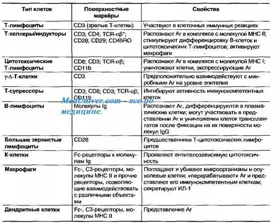 Схема органы иммунитета и иммунокомпетентные клетки