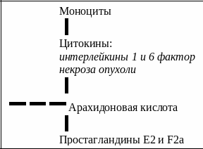 Frame42