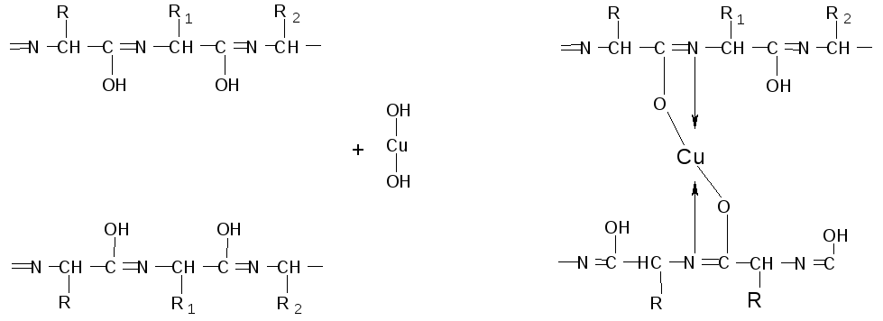 Напишите схему биуретовой реакции