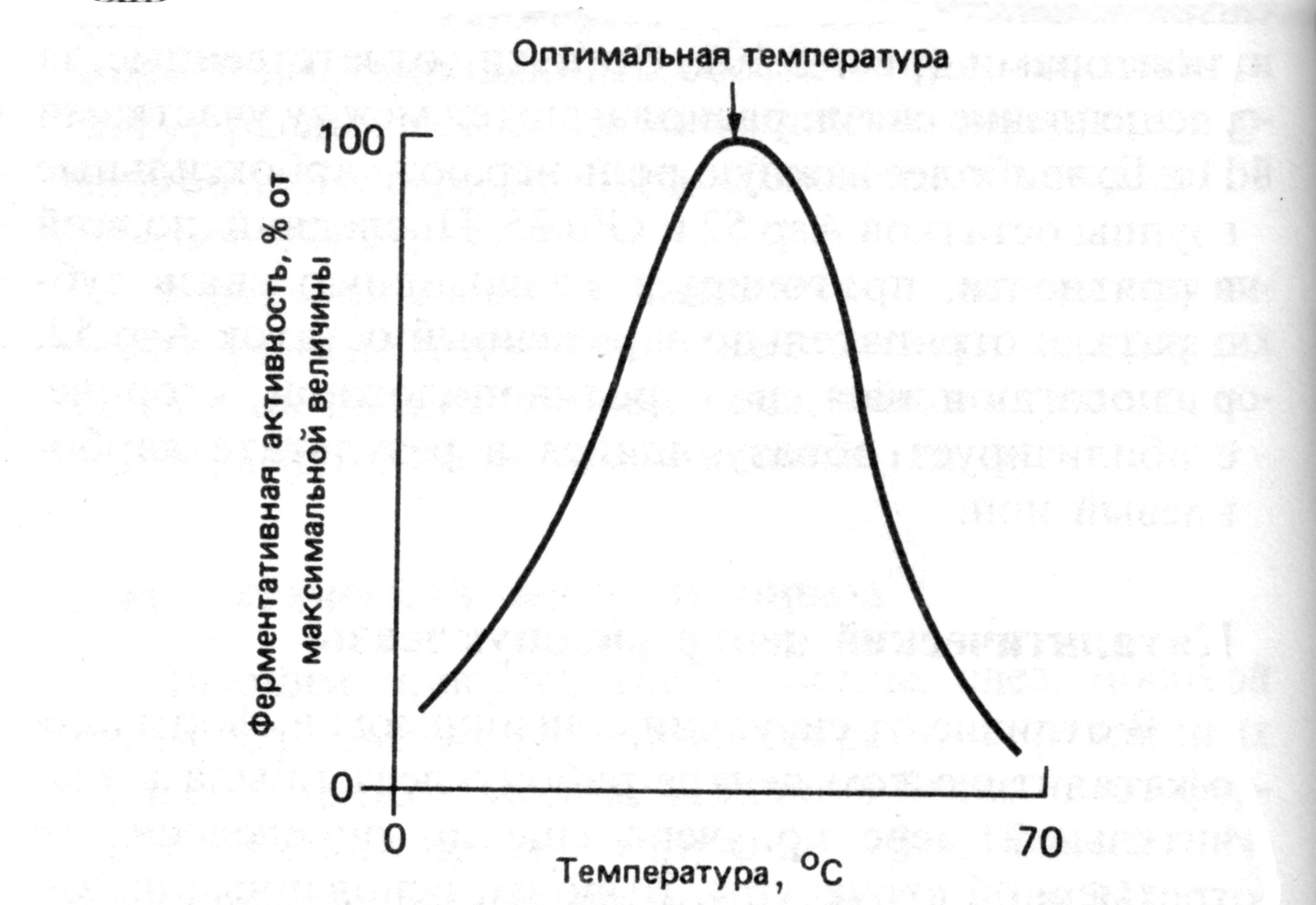 Укажите оптимальный. График зависимости ферментативной реакции от температуры.