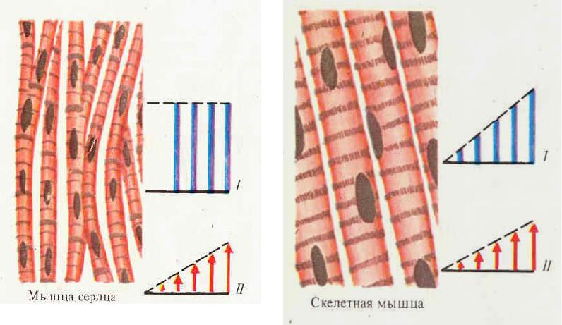 Все или ничего схема