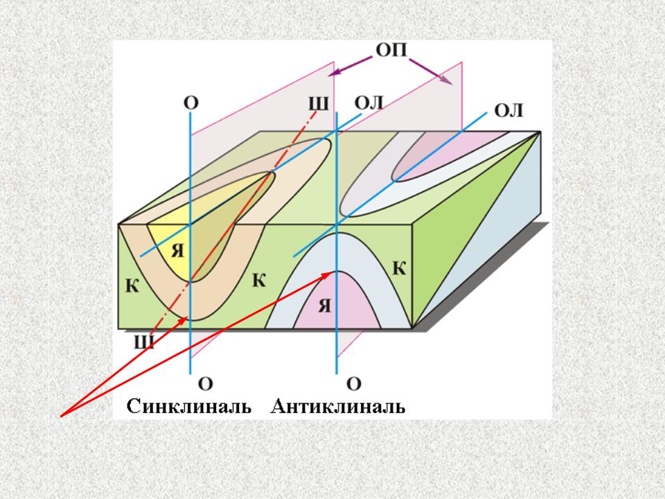 Шарнир складки это