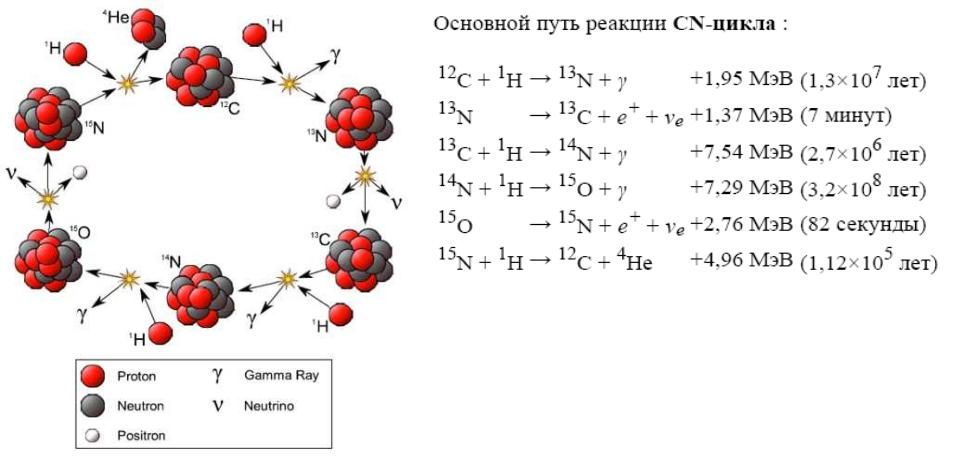 Укажите второй продукт ядерной реакции 4. CNO-цикл ядерные реакции. Углеродно азотный цикл солнца. Углеродно-азотный цикл (CNO-цикл). CNO цикл в звездах.