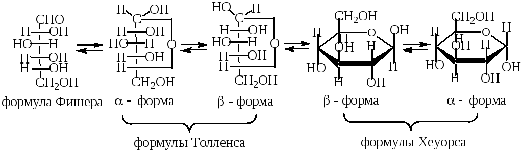 Как рисовать формулу фишера