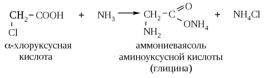 Уксусная кислота хлоруксусная кислота реакция. Получение глицина из хлоруксусной кислоты. Хлоруксусная кислота получение глицина. Из хлоруксусной кислоты получить глицин. Глицин и аммиак реакция.