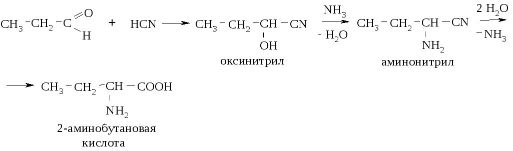 Гидролиз бутановой кислоты. 3 Аминобутановая кислота получение. Аминобутановая кислота реакции. 4 Аминобутановая кислота реакции. Аминобутановая кислота с соляной кислотой реакция.