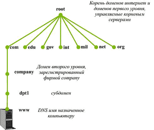 Получение домена. Домен Нижнего уровня. Домен уровни доменов. Домен верхнего и Нижнего уровня. Уровни доменных имен.